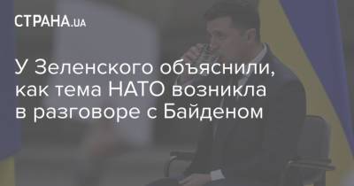Владимир Зеленский - Якоб Байден - Джо Байден - У Зеленского объяснили, как тема НАТО возникла в разговоре с Байденом - strana.ua