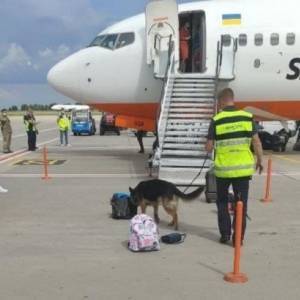 В Борисполе сообщили о бомбе в самолете: информация не подтвердилась. Фото - reporter-ua.com - Киев - Киевская обл. - Тбилиси