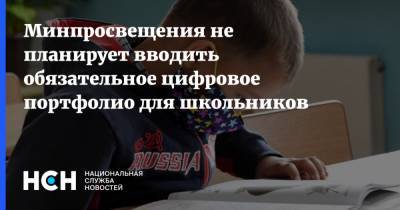 Минпросвещения не планирует вводить обязательное цифровое портфолио для школьников - nsn.fm