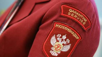Владислав Жемчугов - Иммунолог высоко оценил работу Роспотребнадзора во время пандемии - russian.rt.com