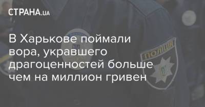 В Харькове поймали вора, укравшего драгоценностей больше чем на миллион гривен - strana.ua - Харьковская обл. - Харьков - район Харьковский