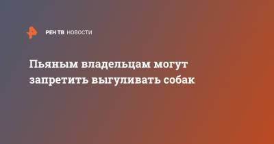 Пьяным владельцам могут запретить выгуливать собак - ren.tv - Россия