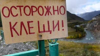 Россияне стали чаще жаловаться на клещей - iz.ru