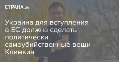 Павел Климкин - Украина для вступления в ЕС должна сделать политически самоубийственные вещи - Климкин - strana.ua - Украина - Киев