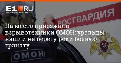 На место приезжали взрывотехники ОМОН: уральцы нашли на берегу реки боевую гранату - e1.ru - Екатеринбург - Свердловская обл.