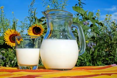 Мартин Лютер - Учёные рассказали, что через молоко коровы человеку передаётся смертельно опасный токсин - actualnews.org
