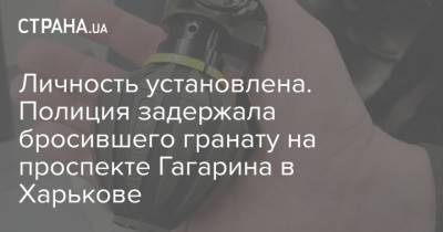 Личность установлена. Полиция задержала бросившего гранату на проспекте Гагарина в Харькове - strana.ua - Харьков