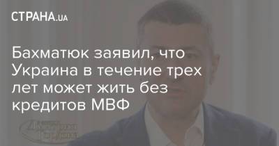 Олег Бахматюк - Бахматюк заявил, что Украина в течение трех лет может жить без кредитов МВФ - strana.ua - Украина
