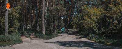 Из-за реконструкции Заельцовского парка новосибирцы лишились подъезда к домам - runews24.ru - Новосибирск