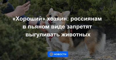 «Хороший» хозяин: россиянам в пьяном виде запретят выгуливать животных - news.mail.ru