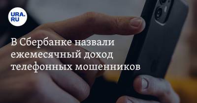 Станислав Кузнецов - В Сбербанке назвали ежемесячный доход телефонных мошенников - ura.news