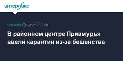 В районном центре Приамурья ввели карантин из-за бешенства - interfax.ru - Москва - Амурская обл.