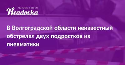 В Волгоградской области неизвестный обстрелял двух подростков из пневматики - readovka.news - Волгоградская обл.
