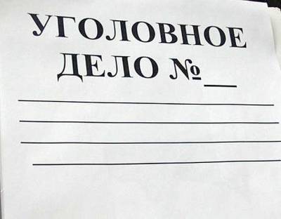 В Ленобласти возбудили дело из-за насилия и отсутствия вожатых в детском лагере - newsland.com - Ленинградская обл. - Приозерск - район Приозерский