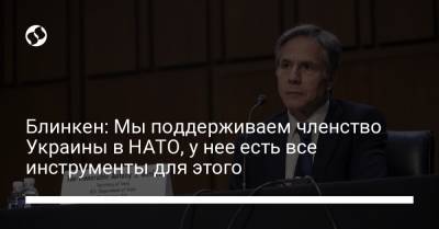 Энтони Блинкен - Блинкен: Мы поддерживаем членство Украины в НАТО, у нее есть все инструменты для этого - liga.net - Грузия