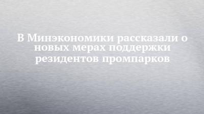 В Минэкономики рассказали о новых мерах поддержки резидентов промпарков - chelny-izvest.ru