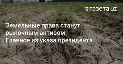 Земельные права станут рыночным активом. Главное из указа президента - gazeta.uz - Узбекистан