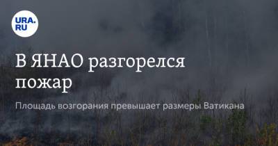 В ЯНАО разгорелся пожар. Площадь возгорания превышает размеры Ватикана - ura.news - окр. Янао - Ватикан - район Пуровский