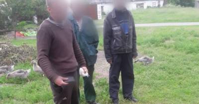 Под Киевом мужчина расстрелял односельчан из-за лая собаки (ФОТО) - dsnews.ua - Киев - Киевская обл. - район Броварский