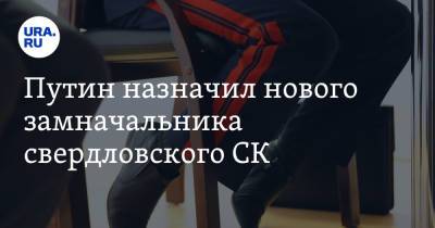 Владимир Путин - Александр Хинштейн - Путин назначил нового замначальника свердловского СК. Предыдущего судят за взятку - ura.news - Свердловская обл. - респ. Калмыкия