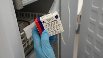 Представитель бизнеса Италии отметил высокий спрос на «Спутник V» в мире - iz.ru