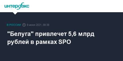 "Белуга" привлечет 5,6 млрд рублей в рамках SPO - interfax.ru - Москва