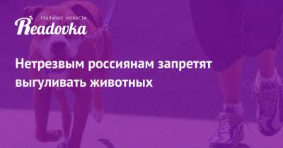 Нетрезвым россиянам запретят выгуливать животных - readovka.news