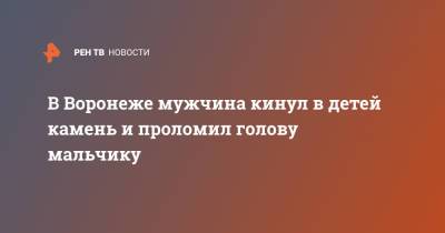 В Воронеже мужчина кинул в детей камень и проломил голову мальчику - ren.tv - Воронеж