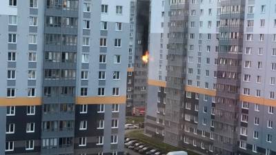 Из горящего дома в Новогорелово эвакуировали более 40 человек - piter.tv - Ленинградская обл. - Санкт-Петербург - район Ломоносовский