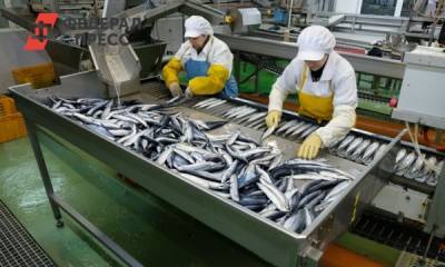 Ямал занял четвертое место по числу резидентов Арктической зоны РФ - fedpress.ru - Красноярский край - респ. Коми - респ. Саха - Чукотка - Салехард