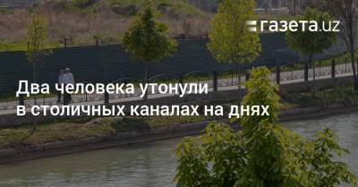 Два человека утонули в столичных каналах на днях - gazeta.uz - Узбекистан - Ташкент
