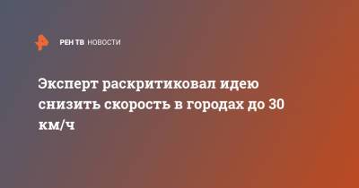 Виктор Похмелкин - Эксперт раскритиковал идею снизить скорость в городах до 30 км/ч - ren.tv