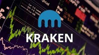 Kraken запускает платформу аукционов Kusama Parachain Auction - lenta.ua
