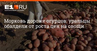 Артем Устюжанин - Морковь дороже огурцов: уральцы обалдели от роста цен на овощи - e1.ru - Екатеринбург - Свердловская обл.