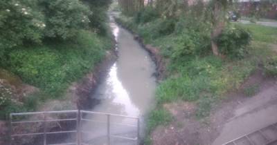 Мутная вода и зловоние: в Калининграде снова сбрасывают стоки в ручей Лесной - klops.ru - Калининград - Экология