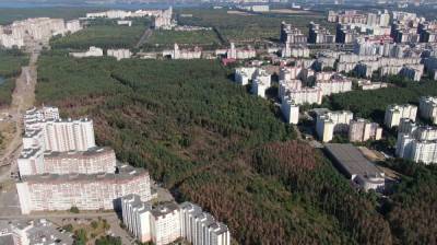 Губернатор поручил ускорить сроки превращения Северного леса в парк - vestivrn.ru - Воронеж - Экология