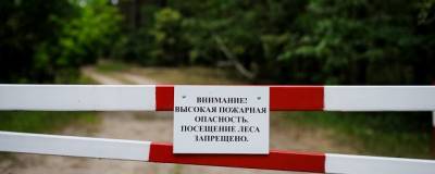 Андрей Бочаров - Волжанам назвали суммы штрафов за нарушение противопожарного режима - runews24.ru - Волгоградская обл.
