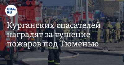 Курганских спасателей наградят за тушение пожаров под Тюменью - ura.news - Тюмень - Тюменская обл. - Курганская обл.