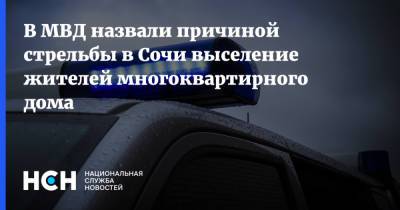 В МВД назвали причиной стрельбы в Сочи выселение жителей многоквартирного дома - nsn.fm - Сочи - Краснодарский край - район Адлерский, Сочи