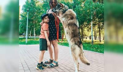 Семья не стая: уфимка рассказала, каково содержать и воспитывать волчицу в квартире - mkset.ru - Уфа