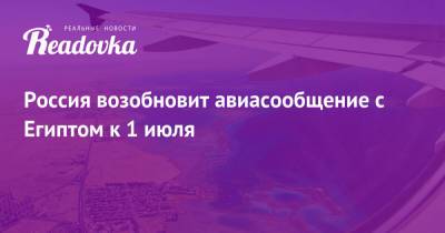 Андрей Белоусов - Россия возобновит авиасообщение с Египтом к 1 июля - readovka.news - Египет