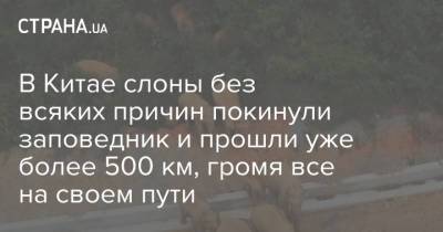 В Китае слоны без всяких причин покинули заповедник и прошли уже более 500 км, громя все на своем пути - strana.ua - Китай