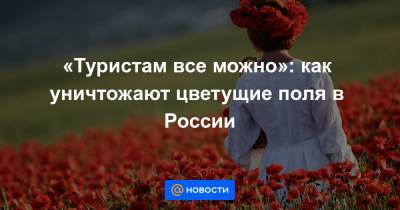 «Туристам все можно»: как уничтожают цветущие поля в России - news.mail.ru - Краснодарский край - Краснодар
