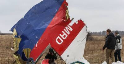 Следствие по делу MH17 отклонило показания свидетелей о пуске ракеты из зоны ВСУ перед крушением "боинга" - reendex.ru - Голландия