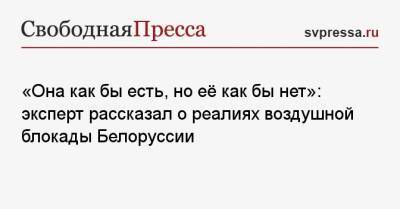 Максим Максимов - «Она как бы есть, но её как бы нет»: эксперт рассказал о реалиях воздушной блокады Белоруссии - svpressa.ru - Голландия