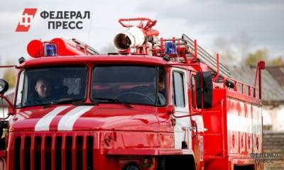 В центре Челябинска пытаются потушить дерево и автомобиль - fedpress.ru - Челябинск - Мурманская обл.