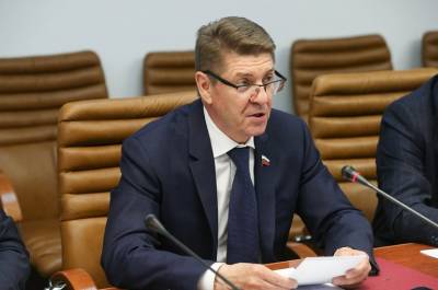 Андрей Шевченко - В Совфеде предлагают расширить число городов-участников конкурсов на развитие городской среды - pnp.ru