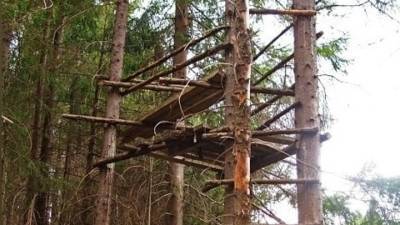 Тарзан уже не тот: мужчину поймали на дереве в Амурской области - vesti.ru - Амурская обл.
