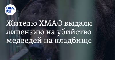 Жителю ХМАО выдали лицензию на убийство медведей на кладбище. Видео - ura.news - Ханты-Мансийск - Югра - район Ханты-Мансийский
