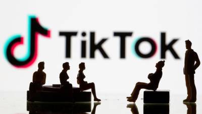 Владимир Петров - Игорь Краснов - Генпрокурора проверит TikTok-дома - gazeta.ru - Ленинградская обл.